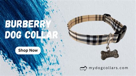 faux burberry dog collar|designer dog collars Burberry.